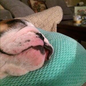 Meet your Posher, Scott